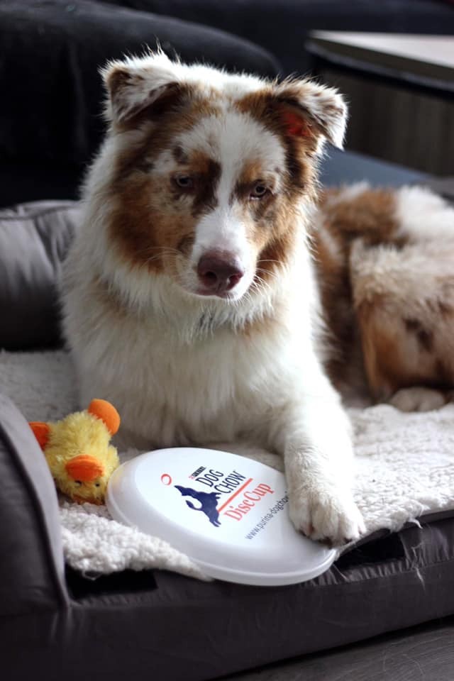O’jaxon Des mazellières