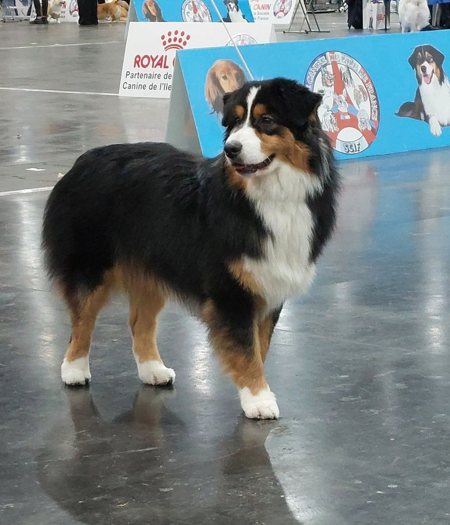 De jolis bébés vont montrés leurs bouts de nez, pour noel 2025...