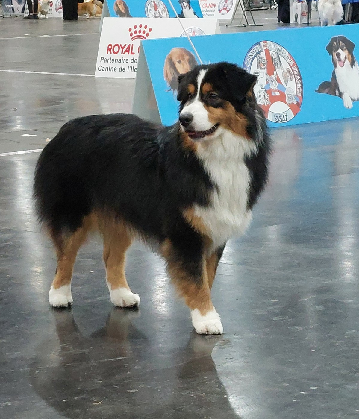 De jolis bébés vont montrés leurs bouts de nez, pour mi-avril 2026 !!!